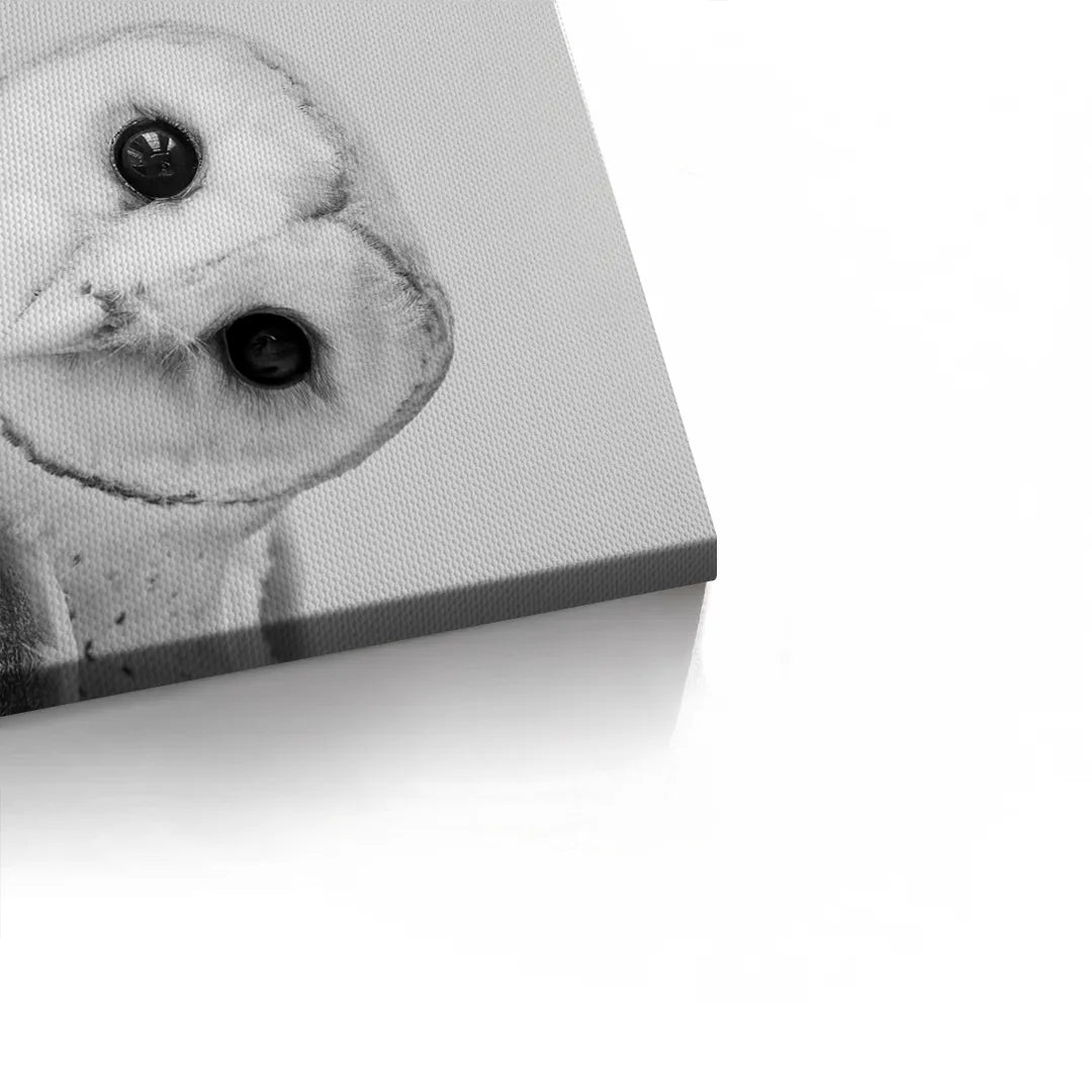 2Barn Owl  - Canvas