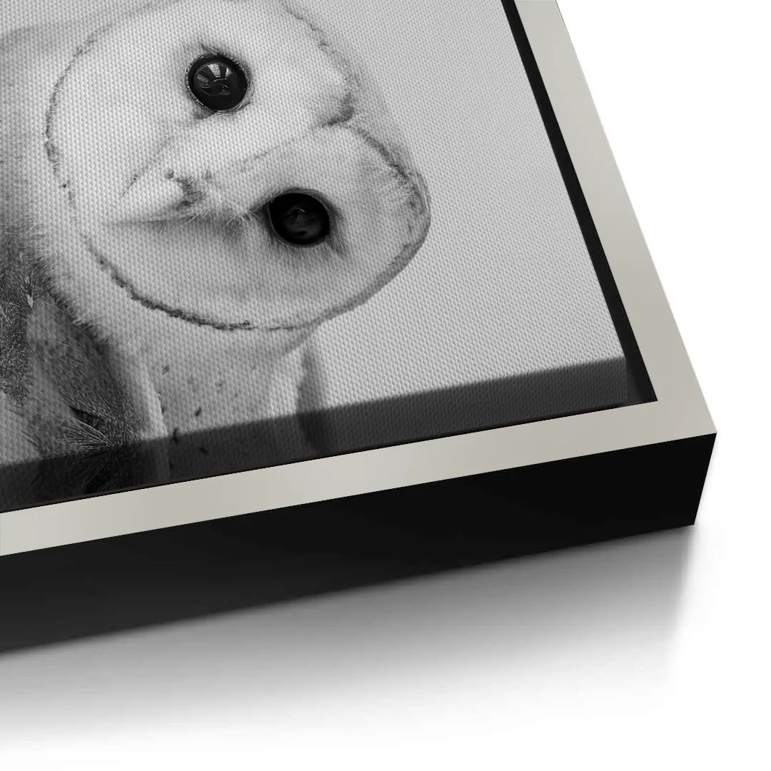 2Barn Owl  - Canvas