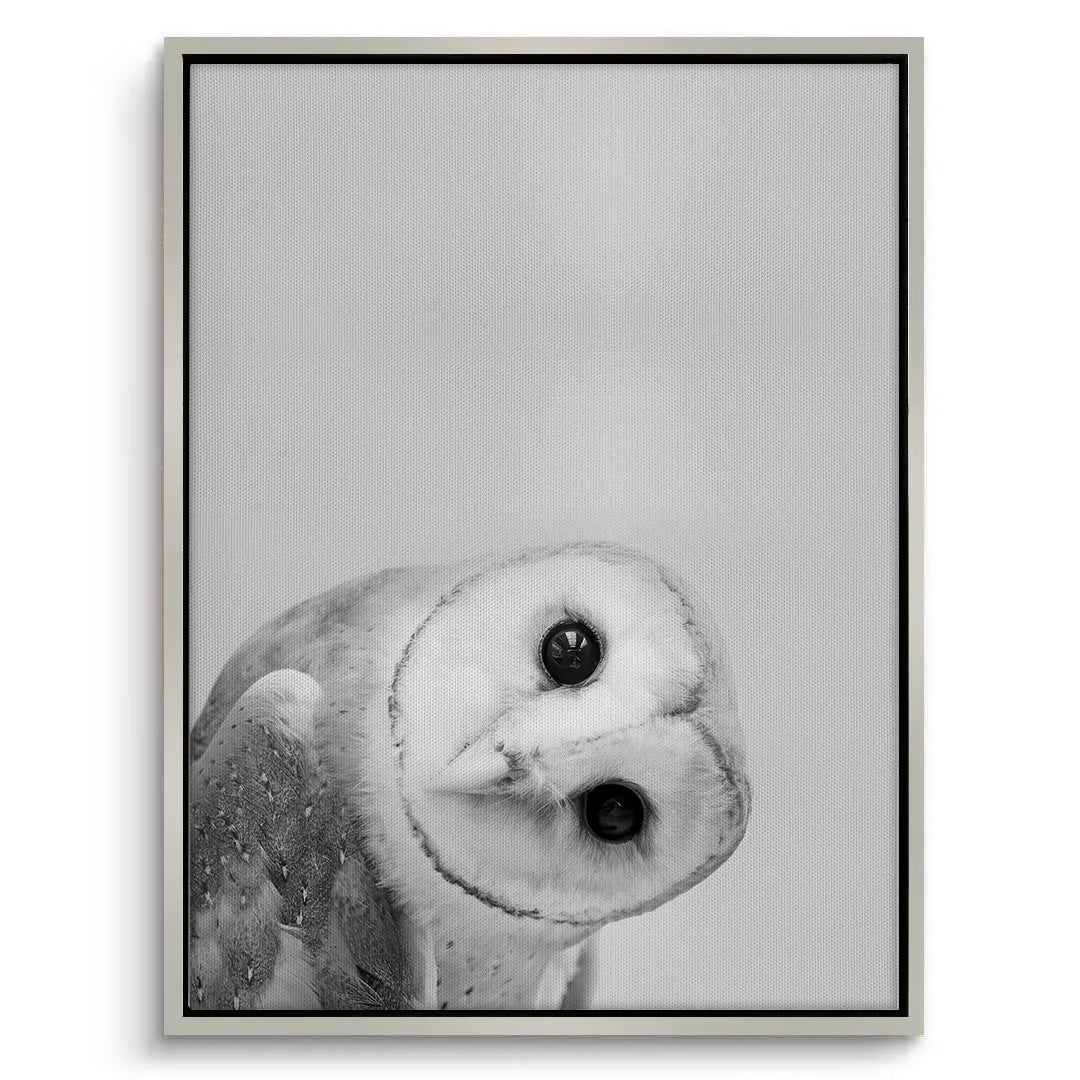 2Barn Owl  - Canvas