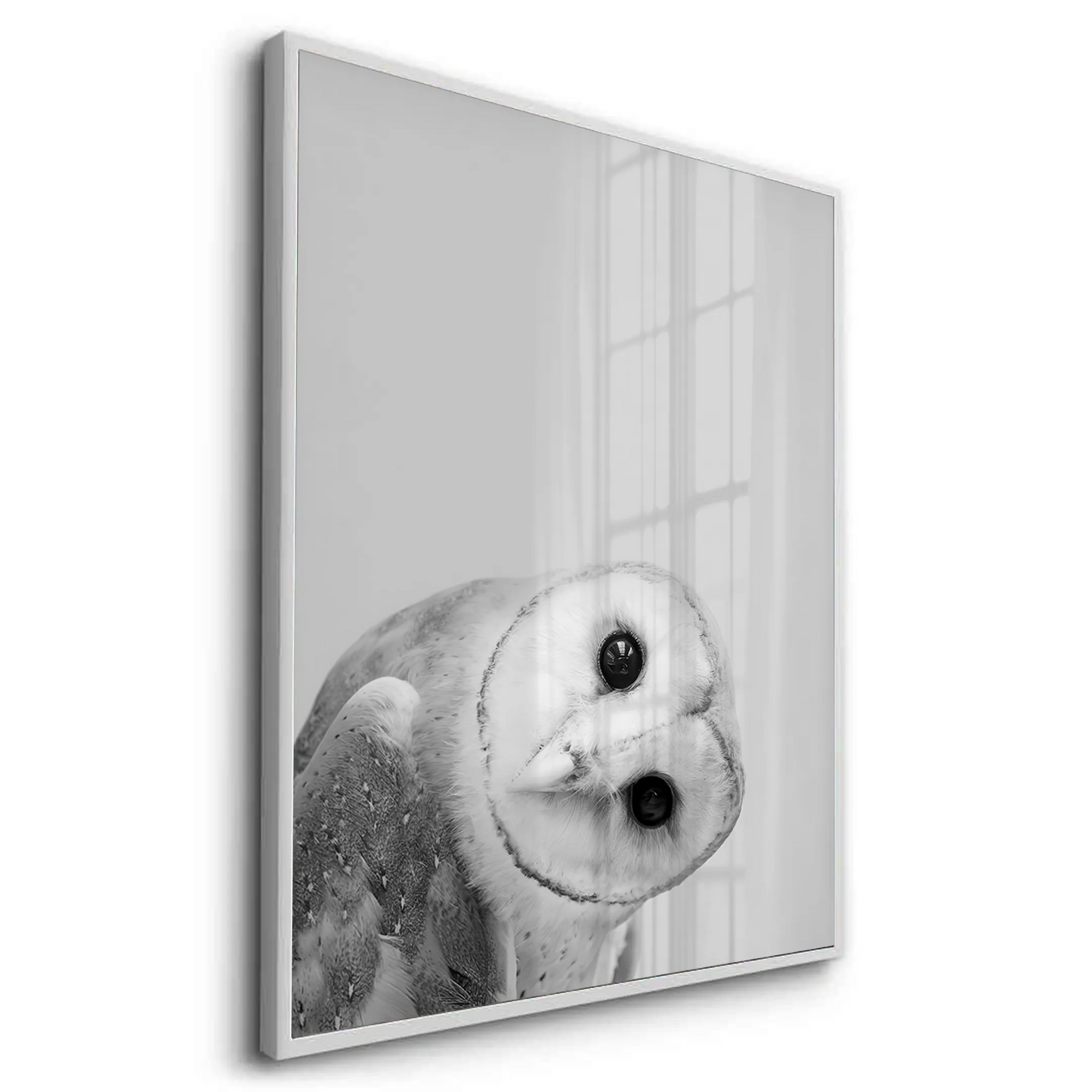 2Barn Owl - Fine Art