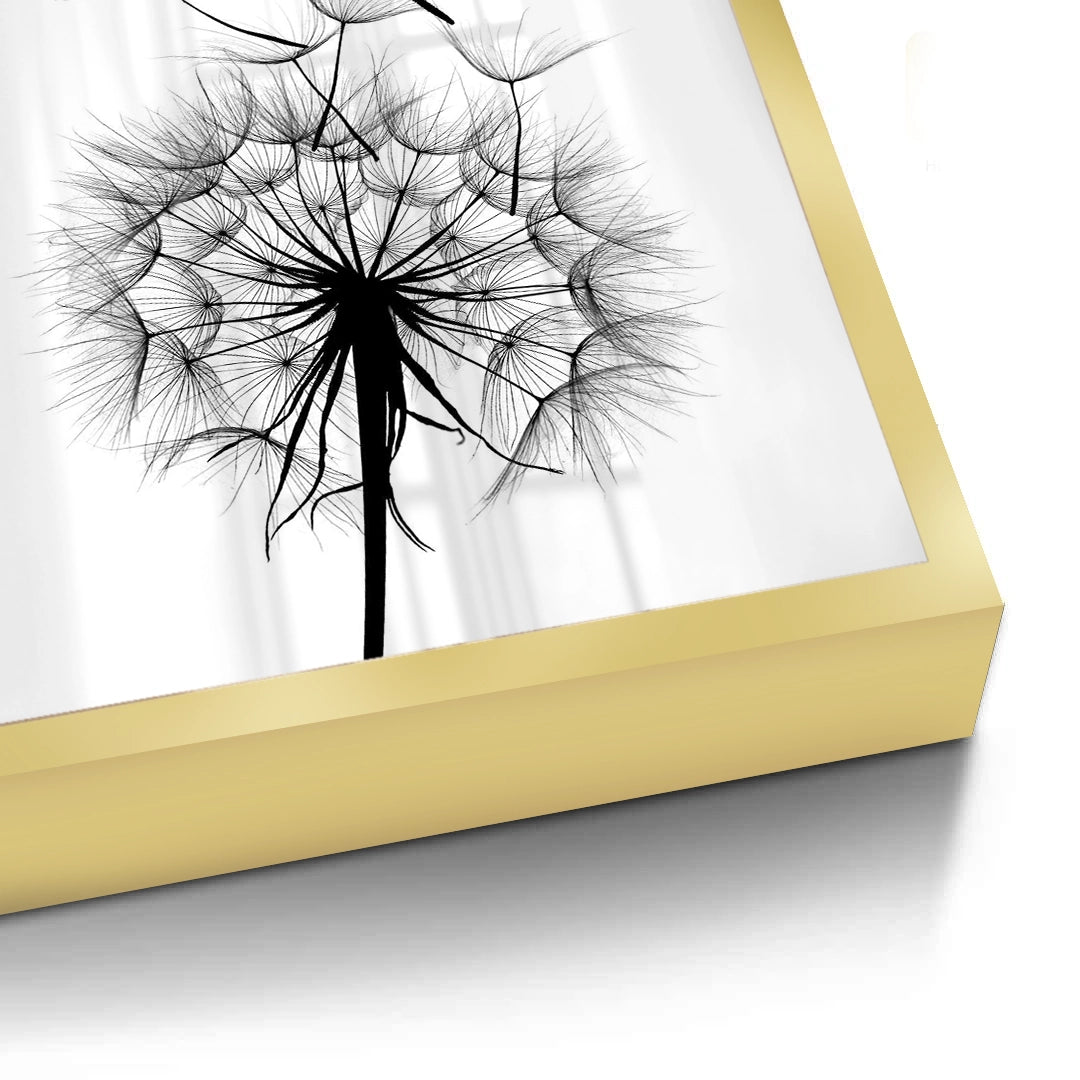 2Dandelion Fluff - Fine Art