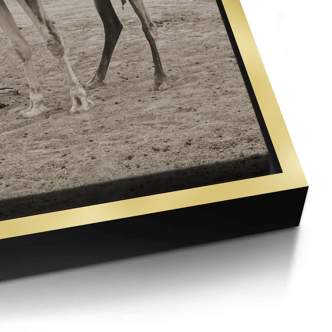 2The First Touch - Canvas