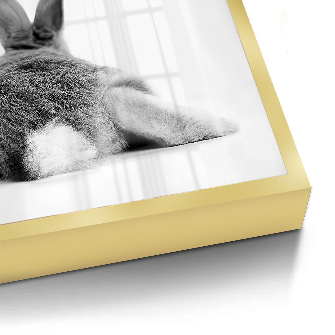 2Minimalist Rabbit - Fine Art