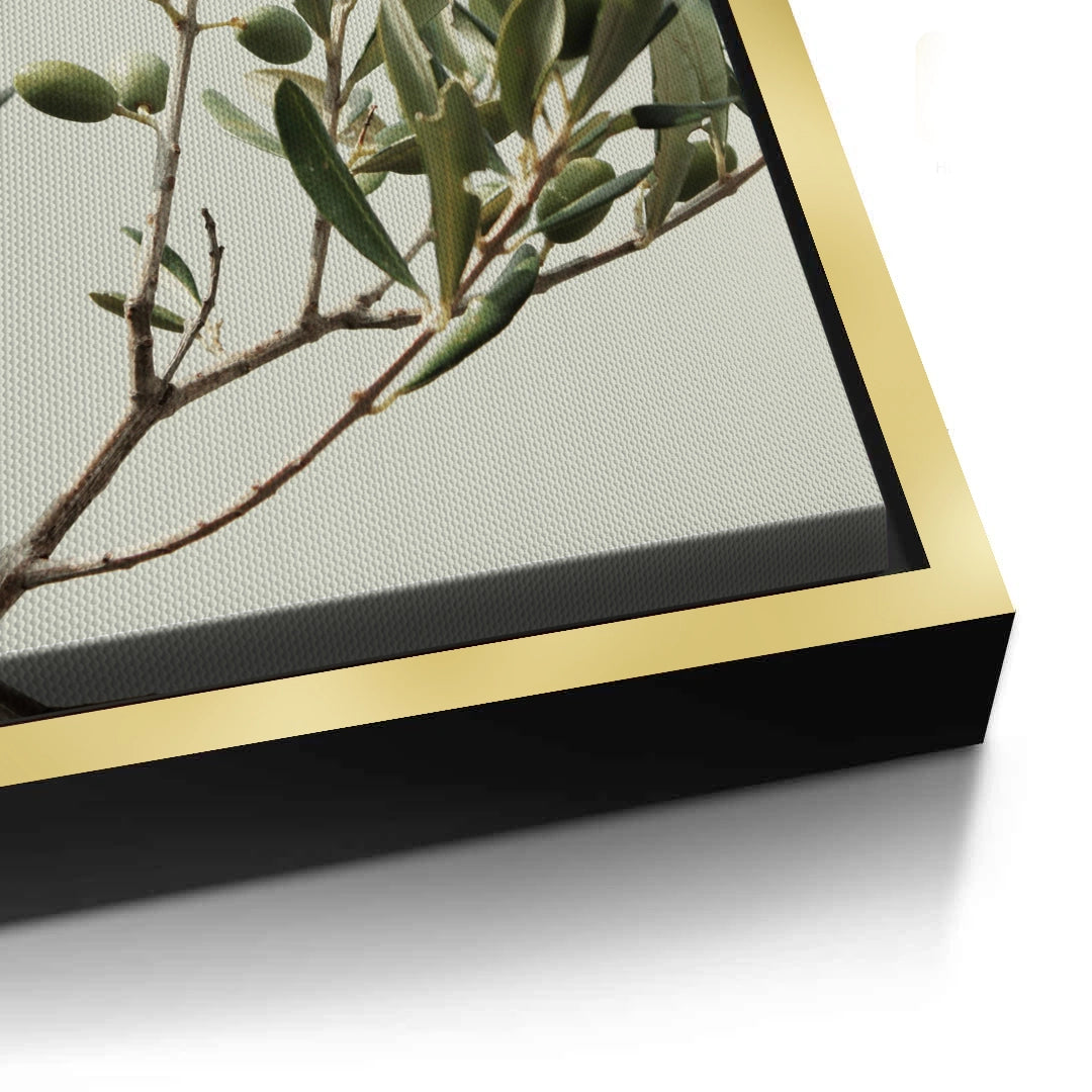 2Olive Branch - Canvas