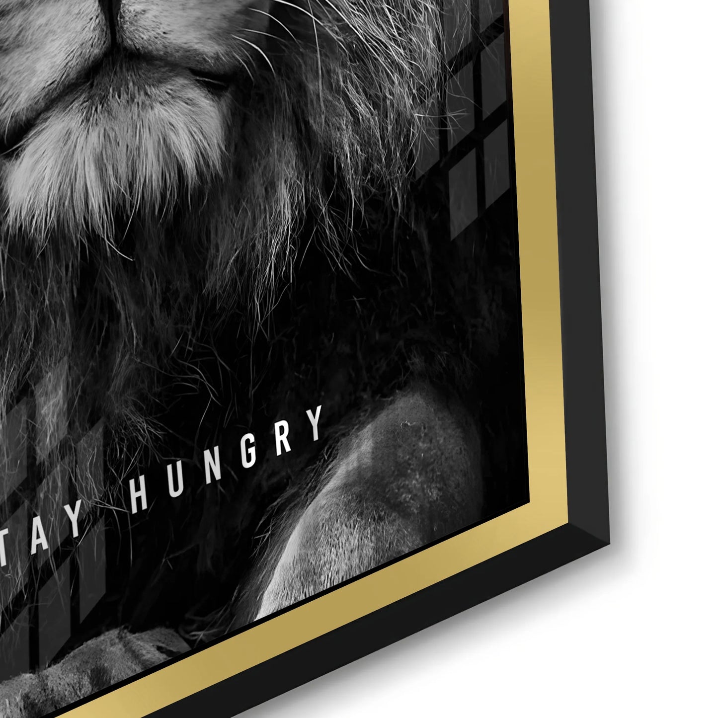 2Stay Hungry - Acrylic