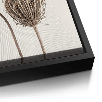 Abstract Beige Nature Still Life - Canvas