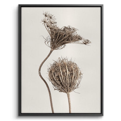 Abstract Beige Nature Still Life - Canvas