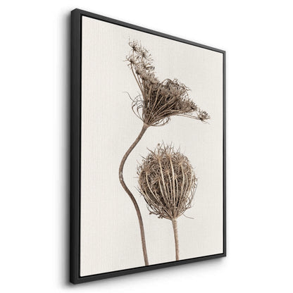Abstract Beige Nature Still Life - Canvas