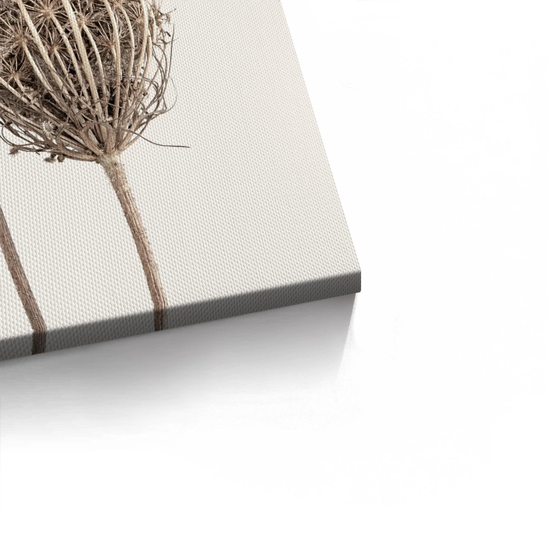 2Abstract Beige Nature Still Life - Canvas