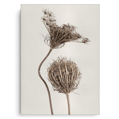 Abstract Beige Nature Still Life - Canvas