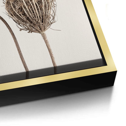 Abstract Beige Nature Still Life - Canvas