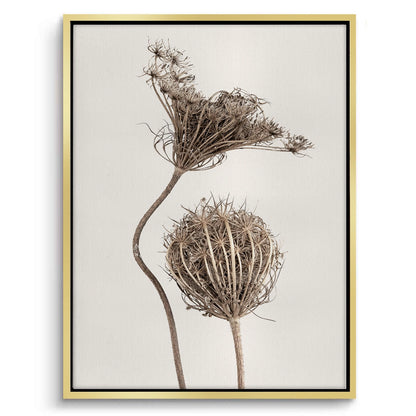 Abstract Beige Nature Still Life - Canvas