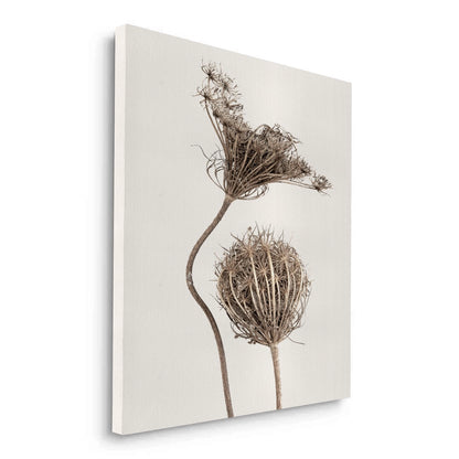 Abstract Beige Nature Still Life - Canvas