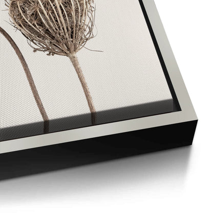 Abstract Beige Nature Still Life - Canvas