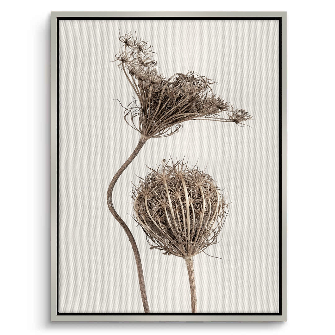 2Abstract Beige Nature Still Life - Canvas