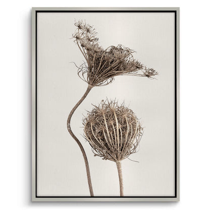 Abstract Beige Nature Still Life - Canvas