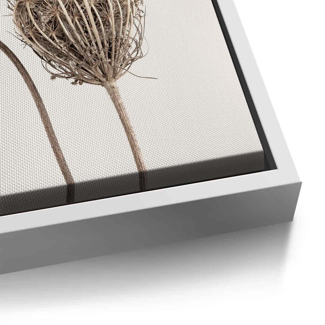 2Abstract Beige Nature Still Life - Canvas