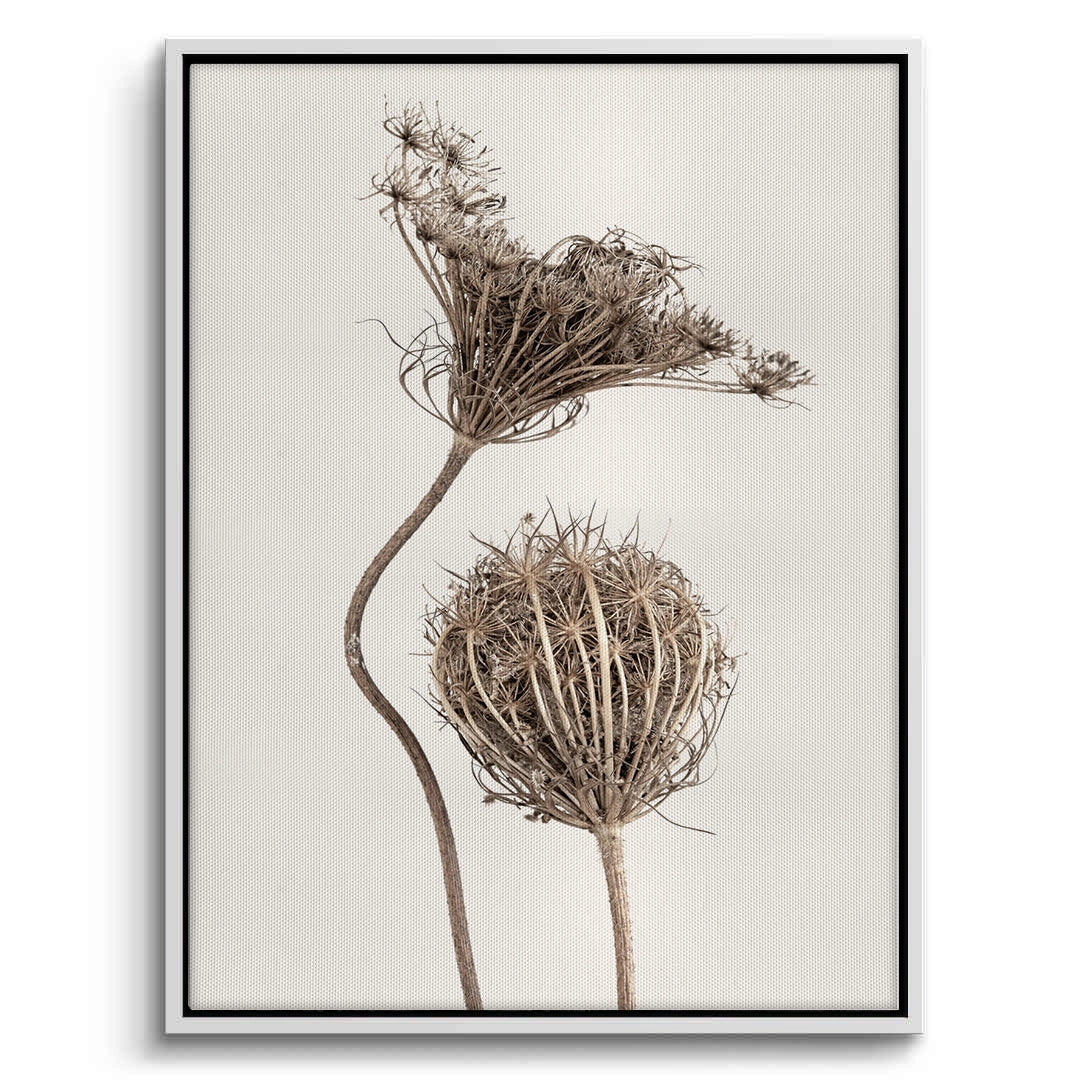 2Abstract Beige Nature Still Life - Canvas