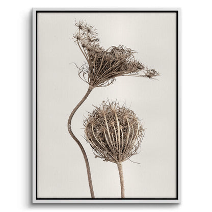 Abstract Beige Nature Still Life - Canvas