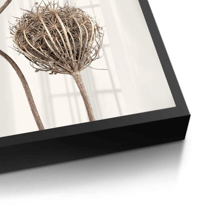 Abstract Beige Nature Still Life - Fine Art