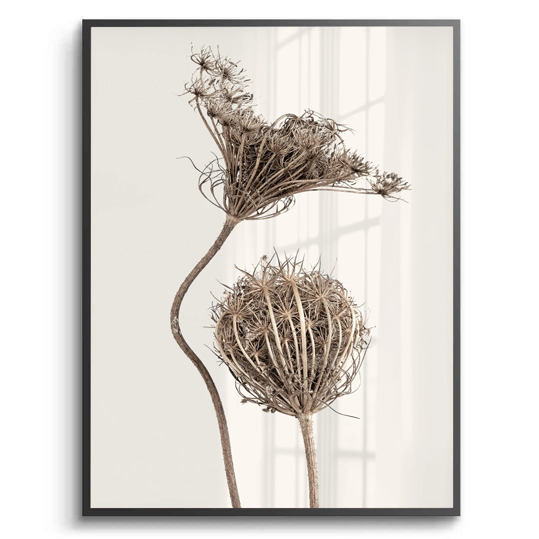 2Abstract Beige Nature Still Life - Fine Art