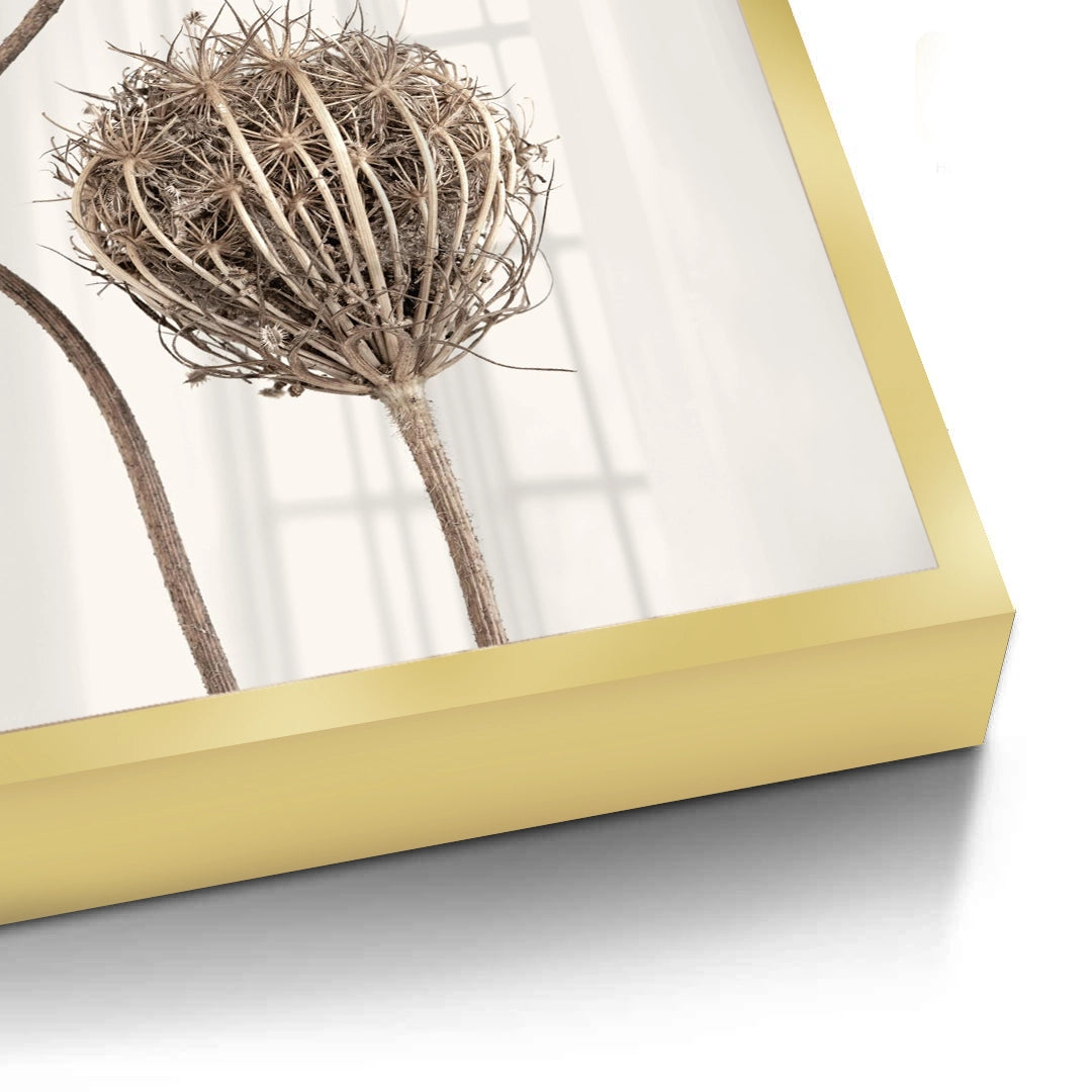 2Abstract Beige Nature Still Life - Fine Art