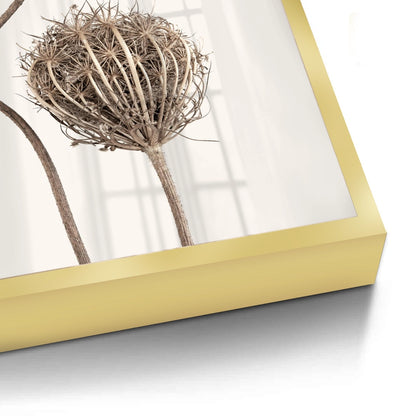 Abstract Beige Nature Still Life - Fine Art