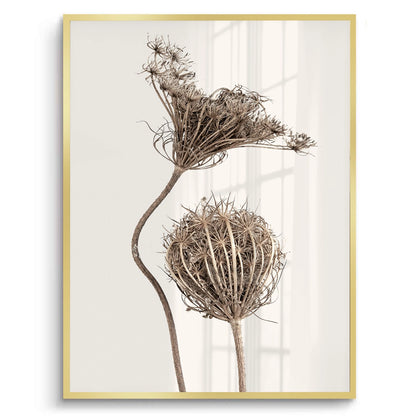 Abstract Beige Nature Still Life - Fine Art