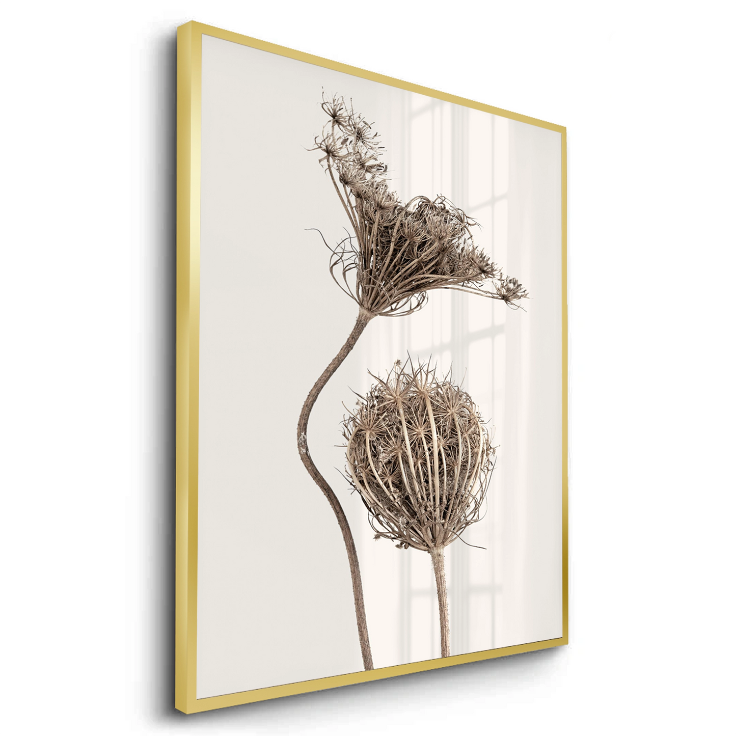 2Abstract Beige Nature Still Life - Fine Art