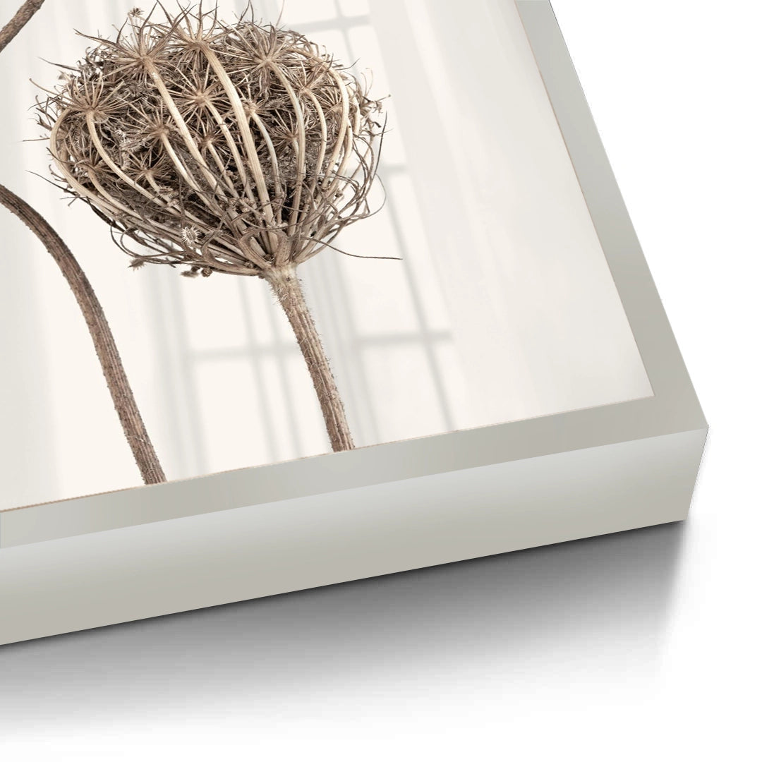 2Abstract Beige Nature Still Life - Fine Art