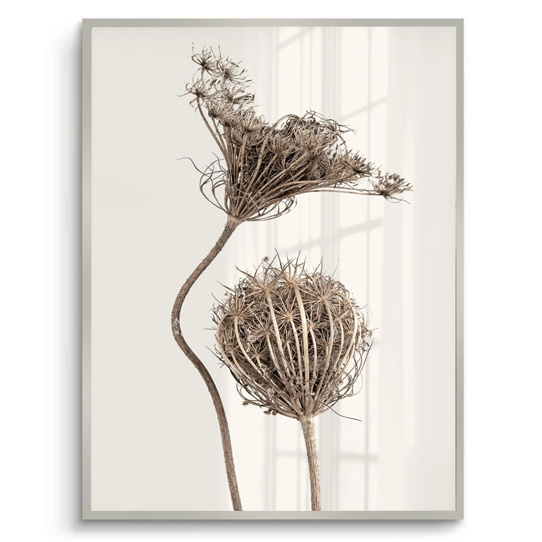 2Abstract Beige Nature Still Life - Fine Art