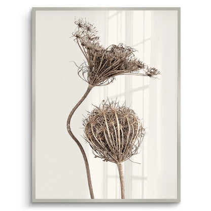 Abstract Beige Nature Still Life - Fine Art