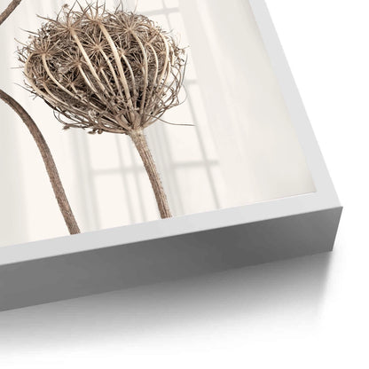 Abstract Beige Nature Still Life - Fine Art