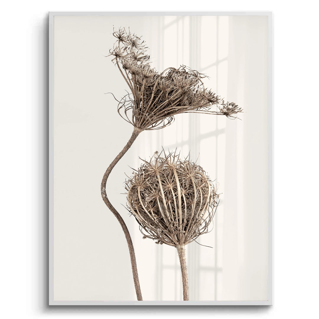 2Abstract Beige Nature Still Life - Fine Art