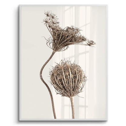 Abstract Beige Nature Still Life - Fine Art