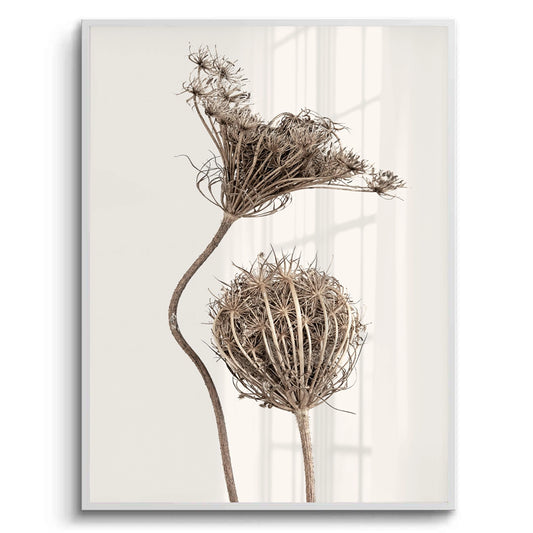 Abstract Beige Nature Still Life - Fine Art