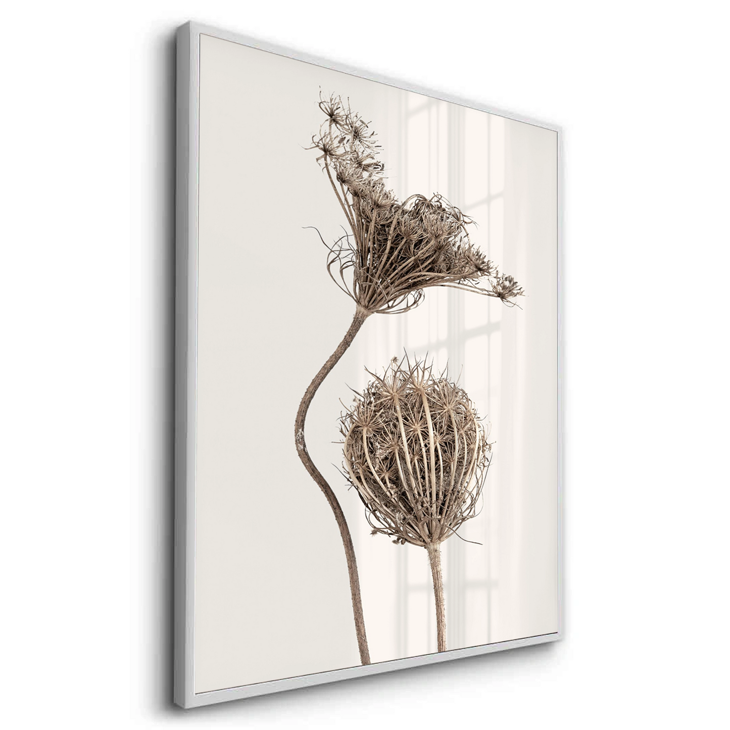 2Abstract Beige Nature Still Life - Fine Art