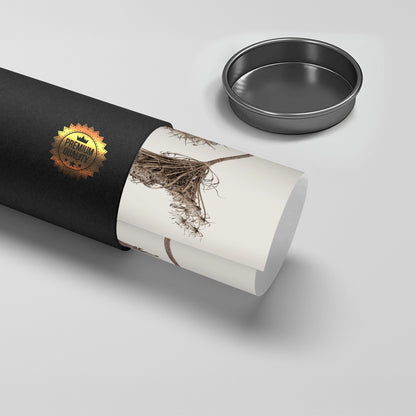 Abstract Beige Nature Still Life - Poster