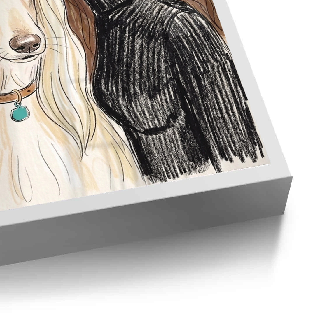 2Afghan Hound Fashion - Fine Art
