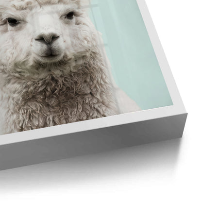 Alpaca Unicorn - Fine Art