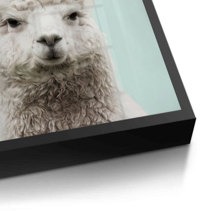 Alpaca Unicorn - Fine Art