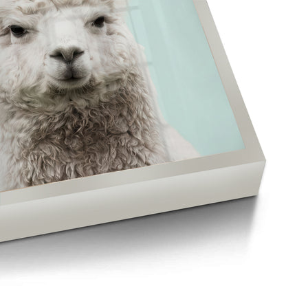 Alpaca Unicorn - Fine Art