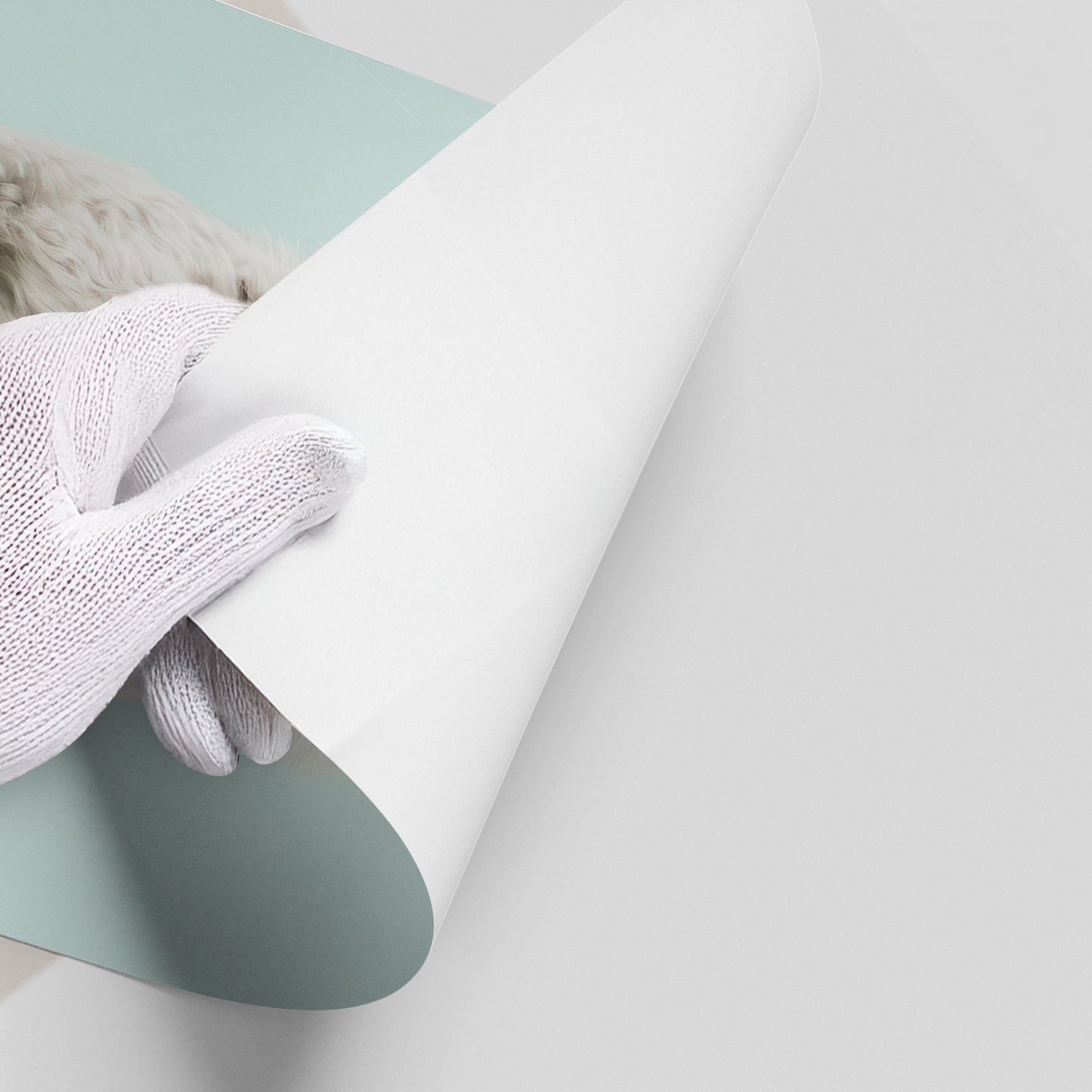 2Alpaca Unicorn - Poster