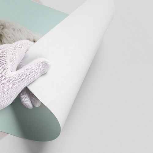 Alpaca Unicorn - Poster