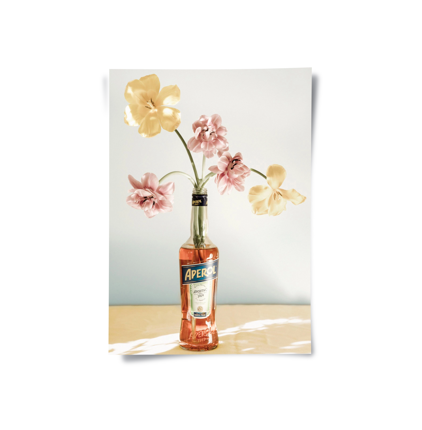 2Aperol Bottle Flower Vase - Poster