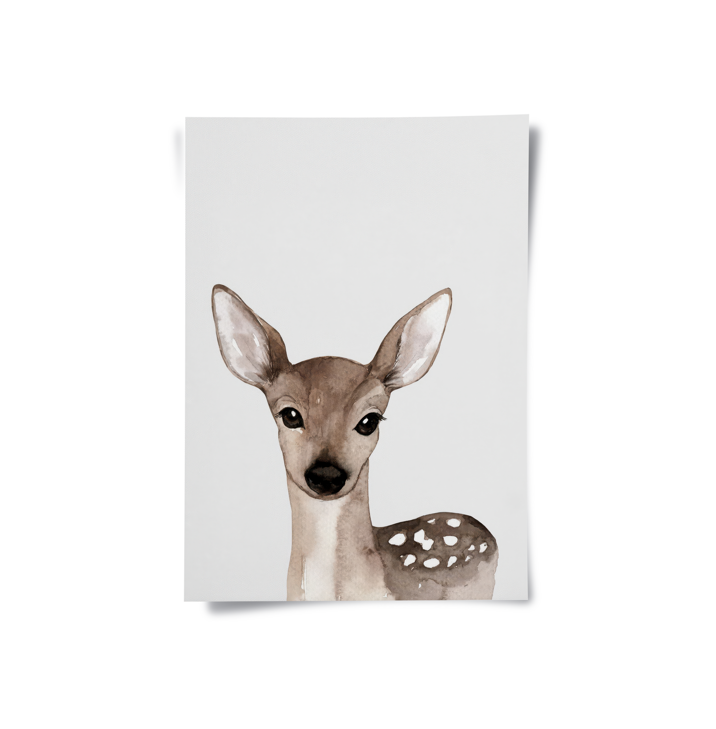 2Baby Deer- Poster