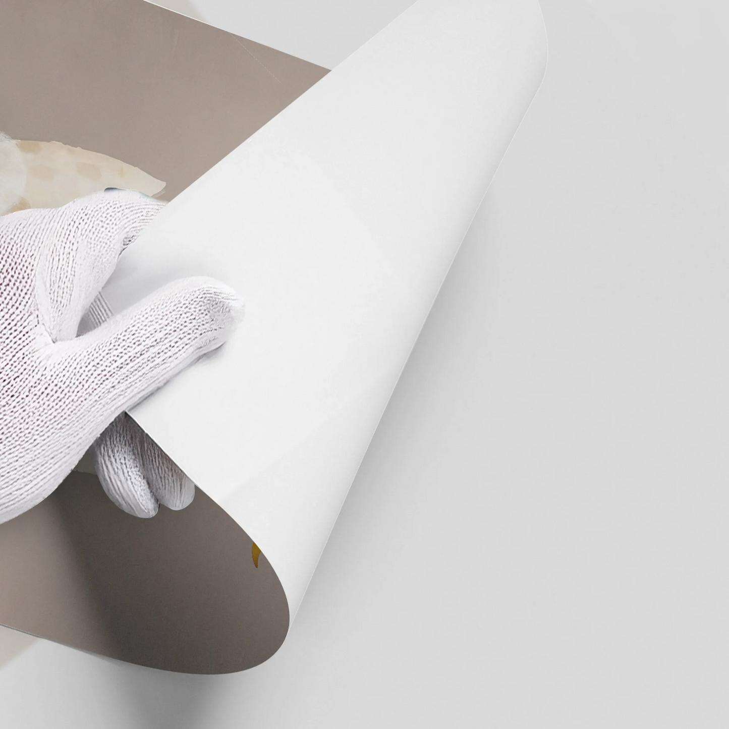 2Baby Dinosaur - Poster