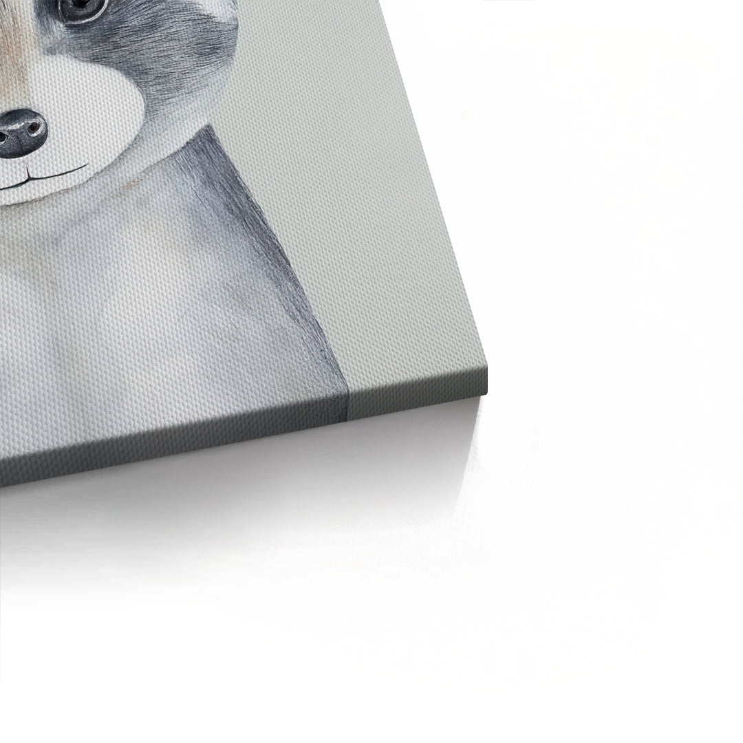 2Baby Raccoon - Canvas
