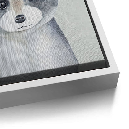 Baby Raccoon - Canvas