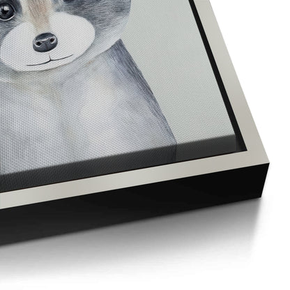 Baby Raccoon - Canvas